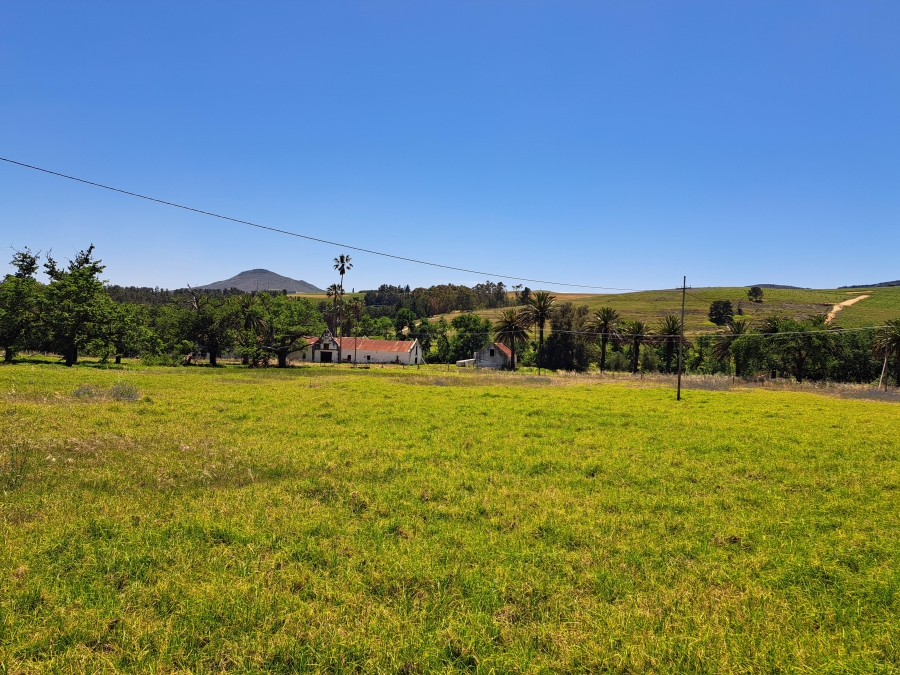 0 Bedroom Property for Sale in Stellenbosch Farms Western Cape